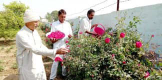 'Sadh Bela Dham' of Nuhianwali, scented with rose fragrance