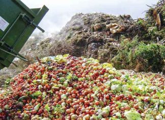 Stop-Food-Wastage