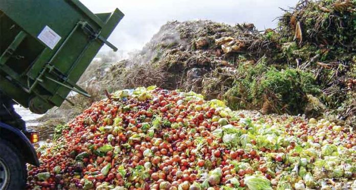 Stop-Food-Wastage