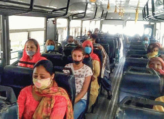 15 thousand women availed the benefit of free travel in Sangrur