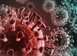 फरीदाबाद में कोरोना से 7 और मौतें, 1560 मिले संक्रमित 7 more deaths from Corona in Faridabad, 1560 found infected