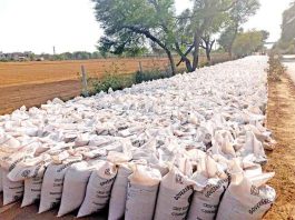 Buy-Wheat