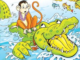 Monkey and Crocodile