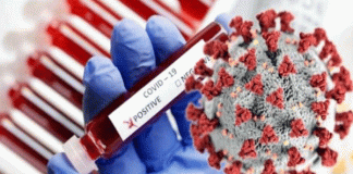 Corona blast in Sirsa, 408 new corona infected