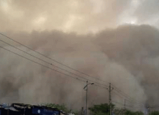 Dusty thunderstorm will run in Haryana for a week