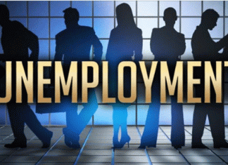 Unemployment Decreased