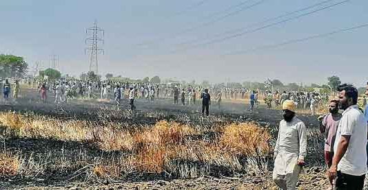 खेतों में लगी आग, 7 एकड़ गेहूं जलकर राख Fire