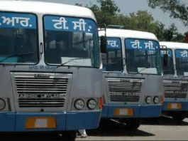 Government buses will be 'knocked down' by free travel