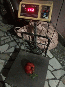 'Grow at home and eat poison-free vegetables'