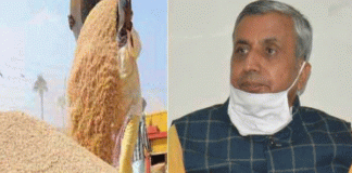 Haryana government made changes in wheat procurement rules