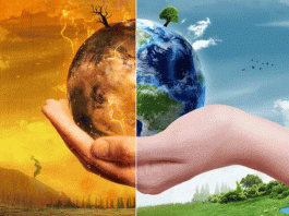 Increasing expectations towards the Paris Agreement