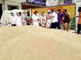 गेहूं की सरकारी खरीद ऑफलाइन शुरू हुई Offline-purchase-of-wheat