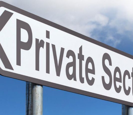 Private Sector