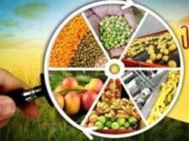 प्रसंस्कृत खाद्य निर्यात में 26 प्रतिशत की वृद्धि Processed-food-exports