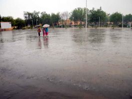 हरियाणा में झमाझम बारिश, गर्मी से मिली राहत Rain