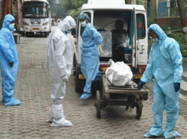 Seven people lost the battle of life due to Corona in Sirsa