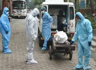 Seven people lost the battle of life due to Corona in Sirsa