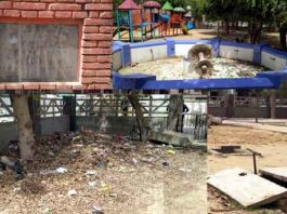 ताऊ देवीलाल पार्क में ‘लाइट न पानी’ Tau-Devi-Lal-Park