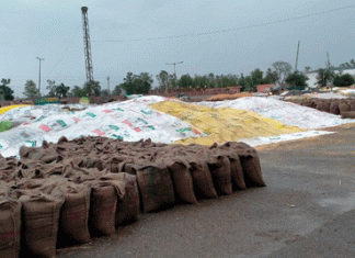 The weather has changed, farmers have been troubled by unseasonal rain
