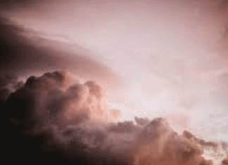 Thunderstorms are expected in Haryana amidst strong winds