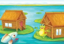Fish and Frog Story