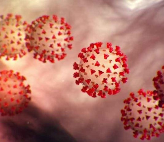 Corona-infected-teacher-Radheshyam sachkahoon