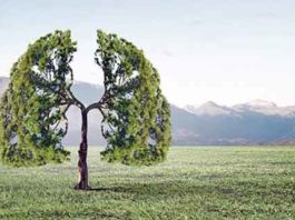 Environment sachkahoon