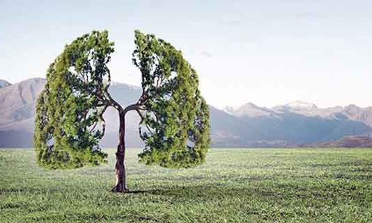 Environment sachkahoon