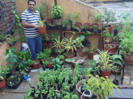 Environmental Protection