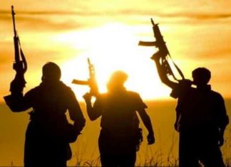 Hizbul-Mujahideen sachkahoon