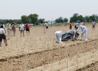 Male skeleton found in the fields, stirred up