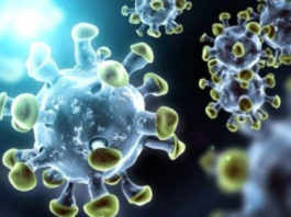 coronavirus sachkahoon