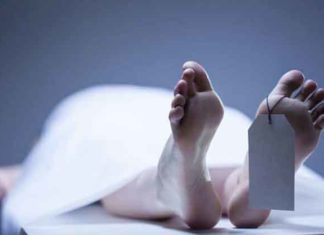 Former-Soldier sachkahoon