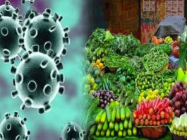 Fruits-and-Vegetables sachkahoon