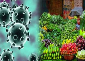 Fruits-and-Vegetables sachkahoon