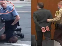 George Floyd Murder Case