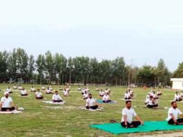 Punjab Yoga