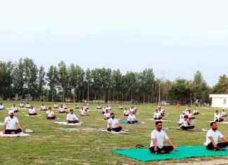 Punjab Yoga