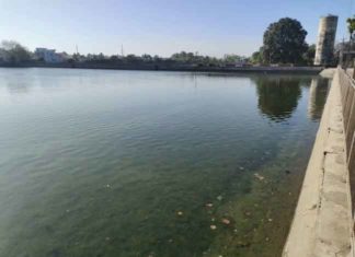 Sirsa-branch-canal sachkahoon