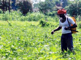 Spraying-in-the-Fields