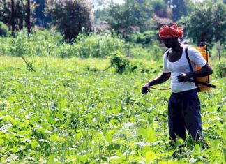 Spraying-in-the-Fields