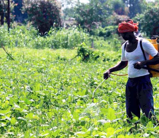 Spraying-in-the-Fields