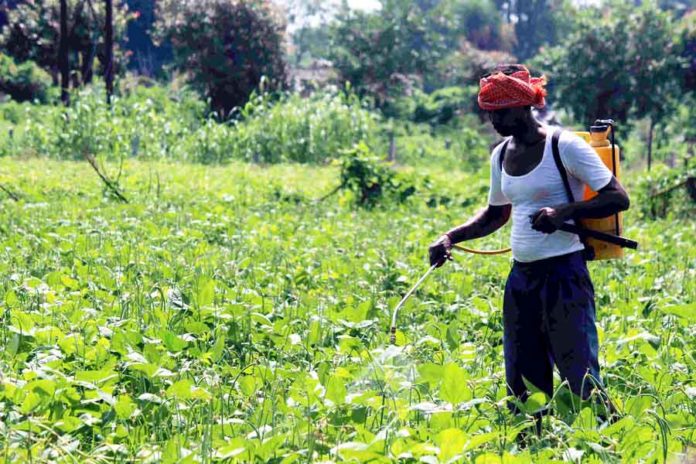 Spraying-in-the-Fields