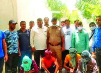 Train Robbery Gang Arrested