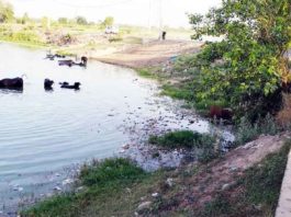Village-Kalhedi