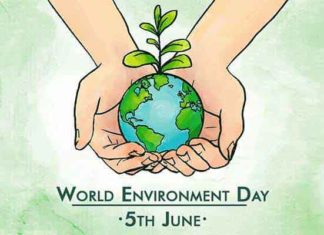 Environment Day