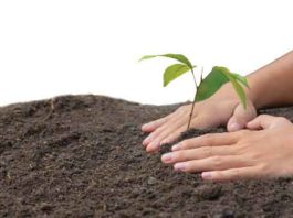 आओ हम सब मिलकर पृथ्वी को बचाएं earth