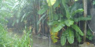 monsoon-begins-in-Kerala sachkahoon
