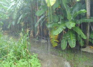 monsoon-begins-in-Kerala sachkahoon