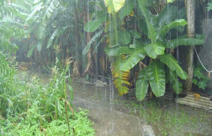 monsoon-begins-in-Kerala sachkahoon
